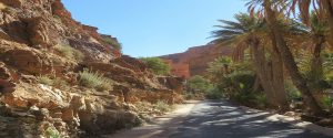 9 Days Marrakech Desert Tour