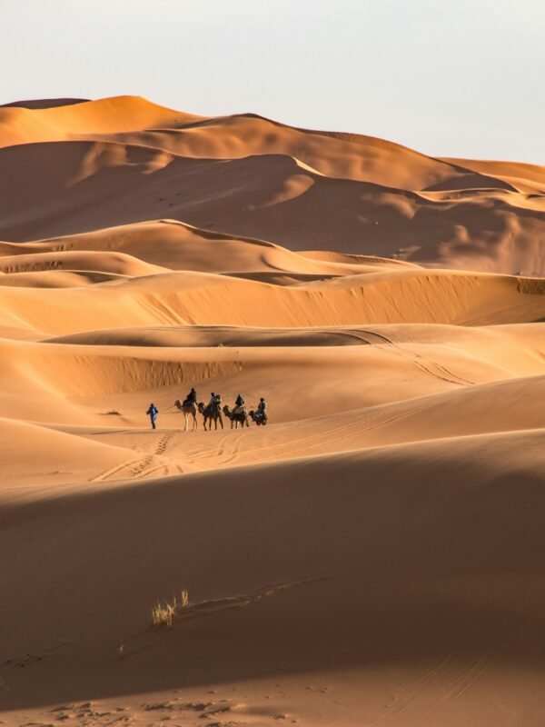 Erg Chigaga Sahra Desert Morocco