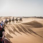 Morocco Guide Tours