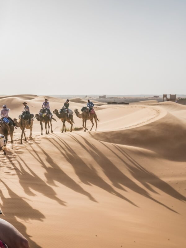 Morocco Guide Tours