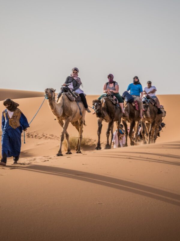Guide Morocco Tours