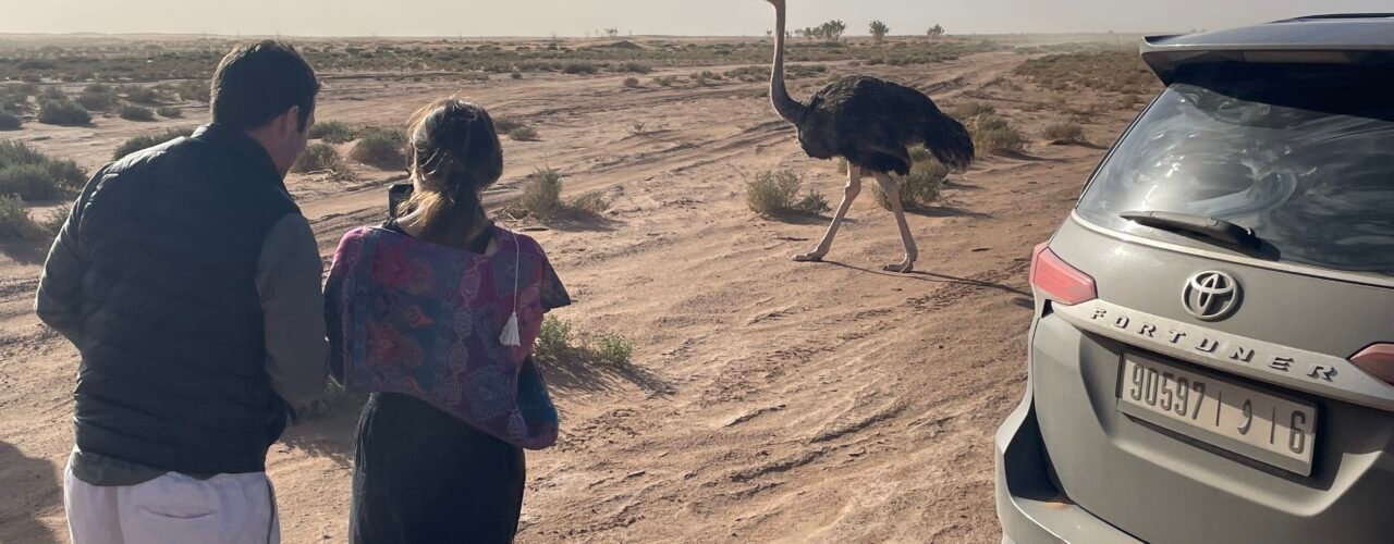6 Days Desert & Anti-Atlas Tour from Marrakech