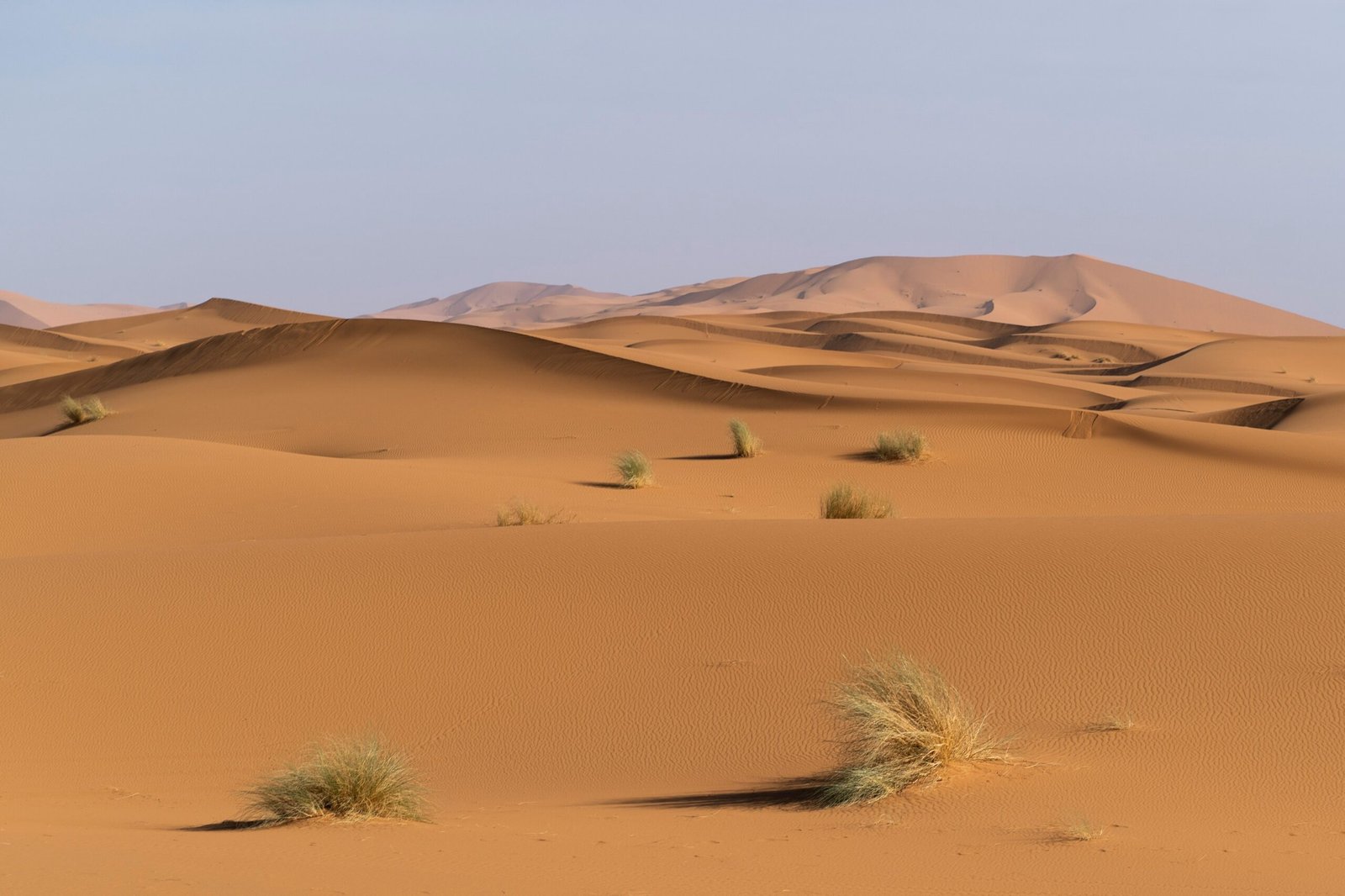 guide morocco tours
